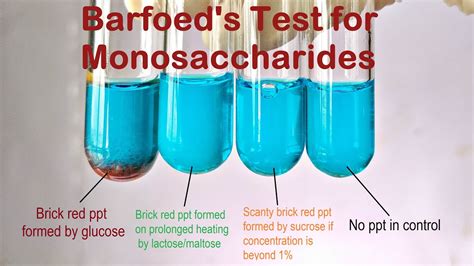 barfoed test|Carbohydrates .
